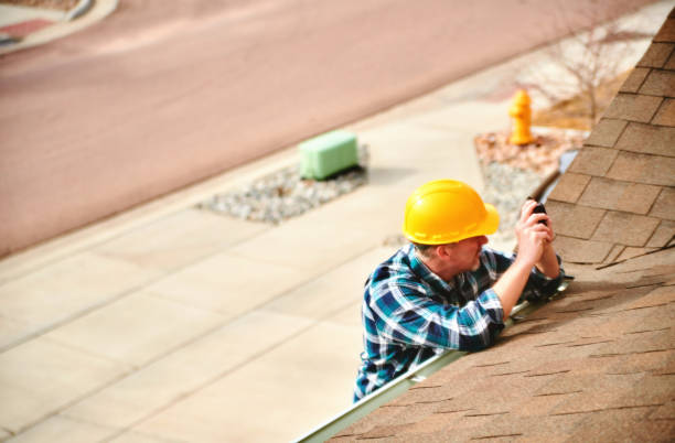 Best Roof Moss and Algae Removal  in Wesley Chapel, FL