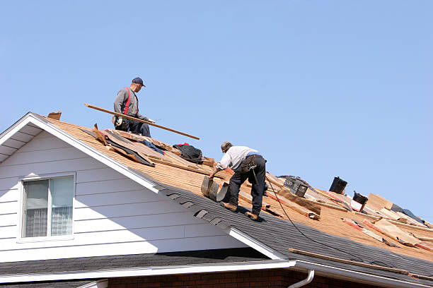Sheet Metal Roofing in Wesley Chapel, FL
